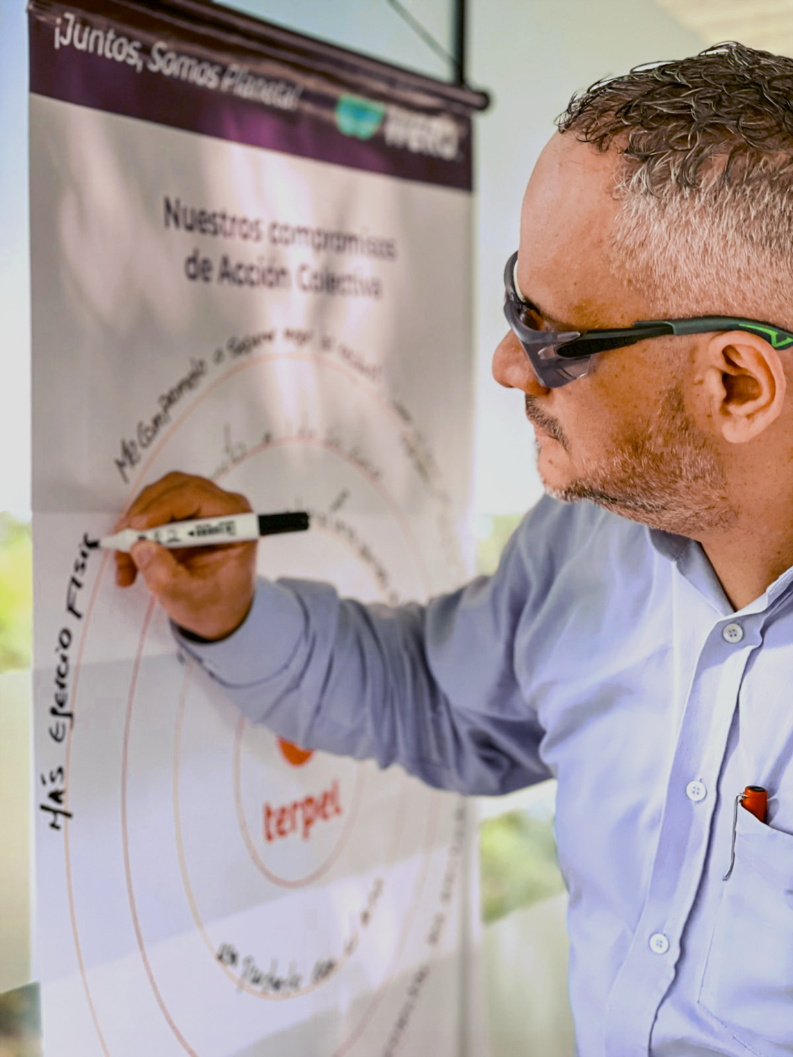 Proyectamos organizaciones en el camino de la sostenibilidad